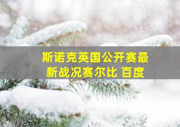 斯诺克英国公开赛最新战况赛尔比 百度